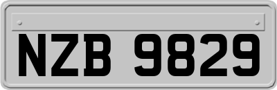 NZB9829