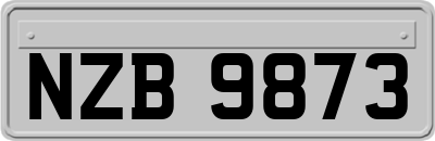 NZB9873