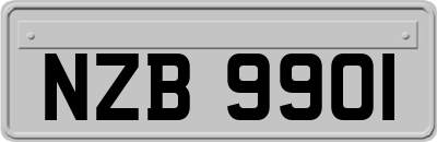 NZB9901