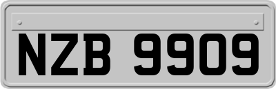 NZB9909