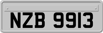 NZB9913