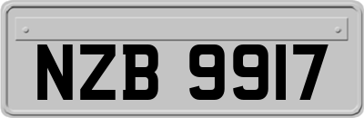 NZB9917
