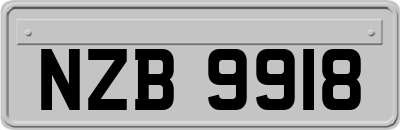 NZB9918