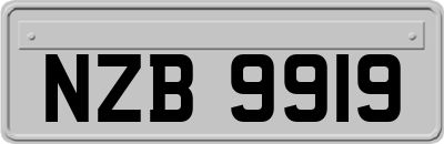 NZB9919