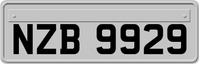 NZB9929