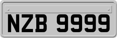 NZB9999
