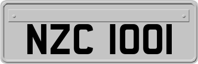 NZC1001