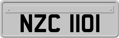 NZC1101