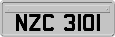 NZC3101