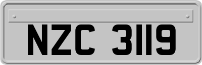 NZC3119