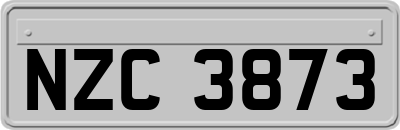 NZC3873