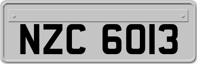 NZC6013