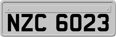 NZC6023