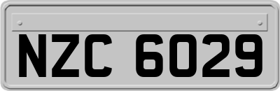 NZC6029