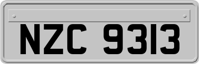 NZC9313