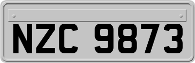 NZC9873