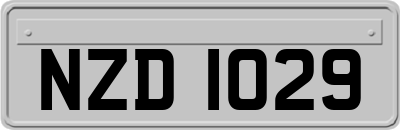 NZD1029