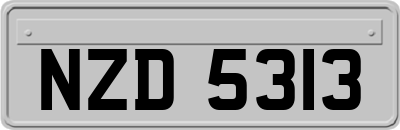 NZD5313