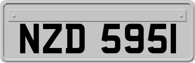 NZD5951
