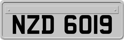 NZD6019