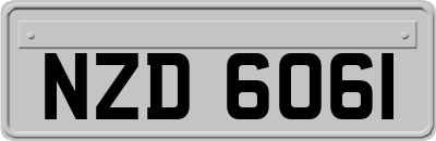 NZD6061