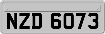 NZD6073