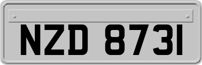 NZD8731
