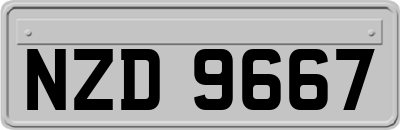 NZD9667