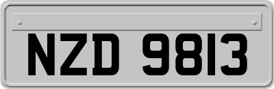 NZD9813