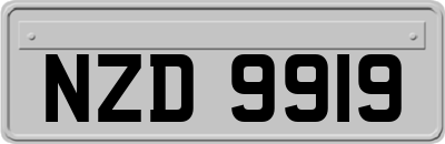 NZD9919