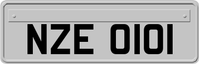 NZE0101