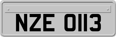 NZE0113