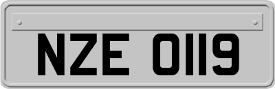 NZE0119