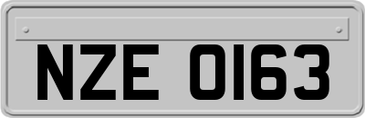 NZE0163