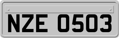 NZE0503