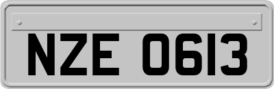 NZE0613