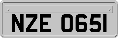 NZE0651