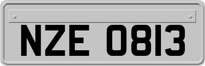 NZE0813