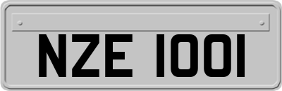 NZE1001