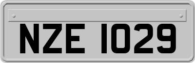 NZE1029