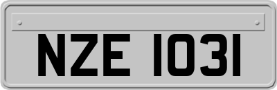 NZE1031