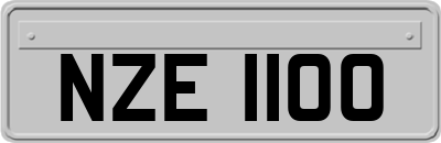 NZE1100