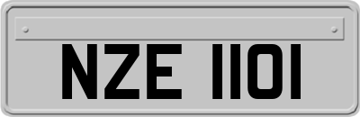 NZE1101