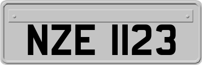 NZE1123