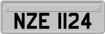 NZE1124