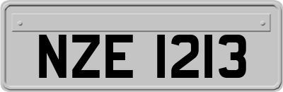 NZE1213