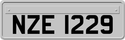 NZE1229