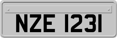 NZE1231