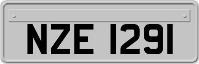 NZE1291