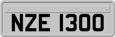 NZE1300